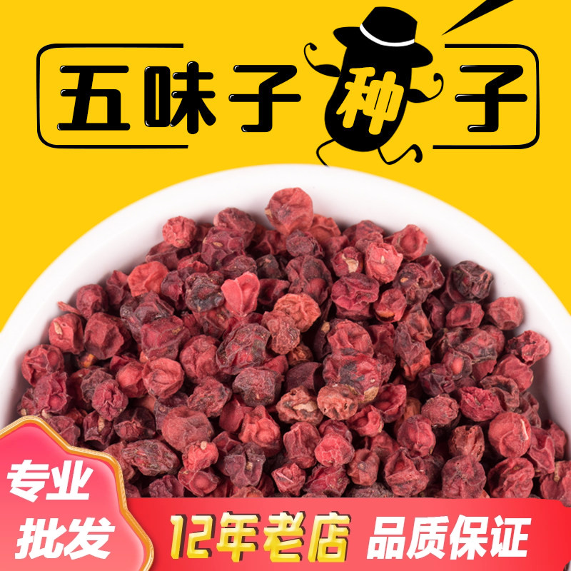 散装五味子种子中药材北五味子树苗种籽北方种植药用价值高送资料图片