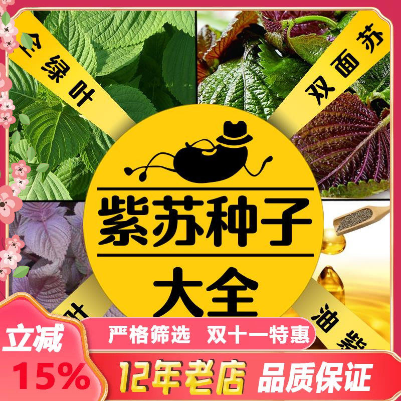 散装紫苏种子紫苏子食用苏子叶籽油绿苏种孑四季盆栽蔬菜阳台包邮