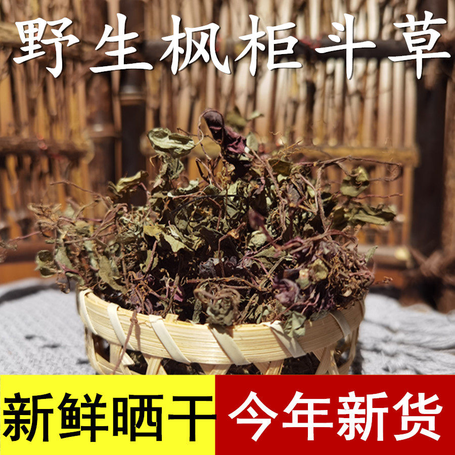 2020年新货正宗农家本地野生风柜斗草干品风鼓草风谷草楮头红100g