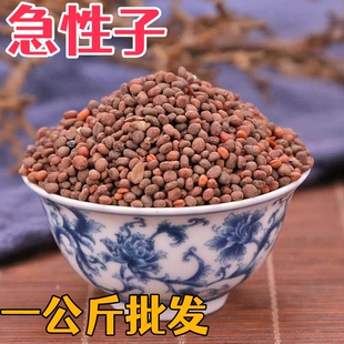 急性子急性子中药材凤仙籽风仙花子指甲花子金凤花子金凤花籽批发