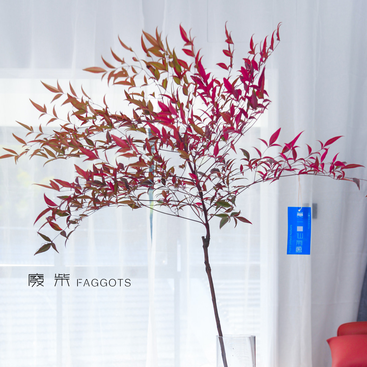 新鲜绿南天竹竹叶日本料理西餐摆盘 价格 多少钱 优惠券 优惠信息 购物没得比官网