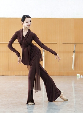 现代舞蹈服女宽松长袖上衣拉丁舞朝鲜舞练功服罩衫古典舞形体显瘦