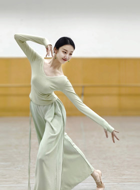现代舞春夏舞蹈练功服上衣古典舞专业形体训练飘逸长袖服装女艺考