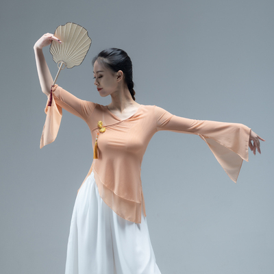 古典舞纱衣民族舞上衣艺考飘逸
