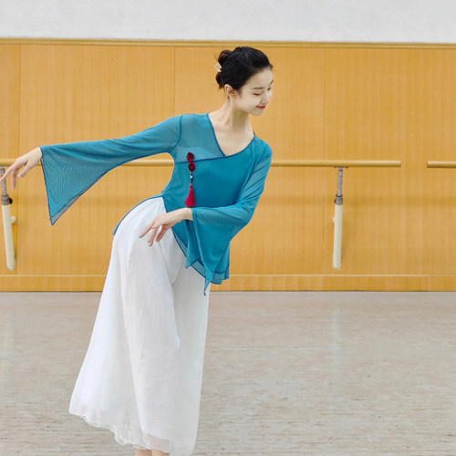 斑斓舞韵身韵练功服纱衣