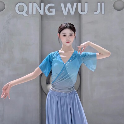 古典舞练功纱衣大袖子基训纱衣北舞同款专业团服成人身韵短袖班服