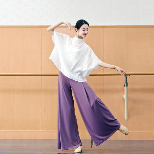 现代舞练功服女古典舞新中式国风立领舞蹈服日常可穿显瘦时尚舞衣