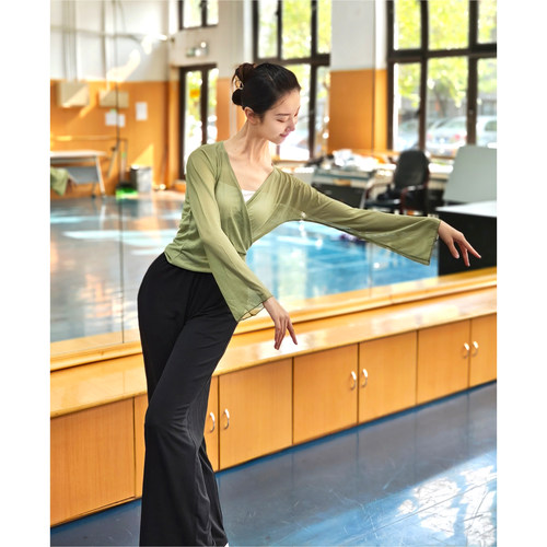 斑斓舞韵纱衣修身练功服