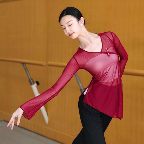 艺考古典舞纱衣飘逸练功服女中国舞盘扣身韵显瘦形体训练现代舞