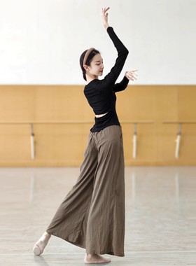 现代舞蹈服古典中国舞练功服女秋季长袖上衣形体训练服瑜伽拉丁舞