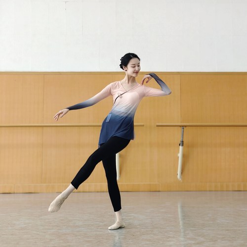 渐变古典舞纱衣身韵舞蹈练功服中国舞艺考上衣民族舞紧身演出服女