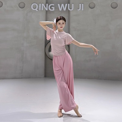 舞蹈上衣女款新款短袖芭蕾形体训练服现代舞练功服夏天古典舞服装