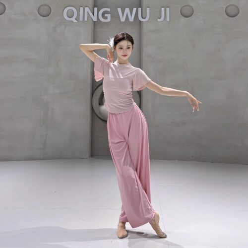 舞蹈上衣女款新款短袖芭蕾形体训练服现代舞练功服夏天古典舞服装