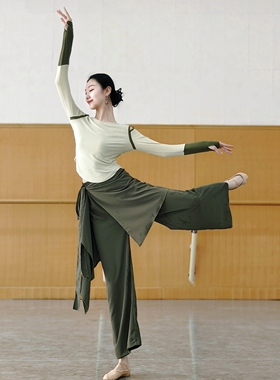 现代舞蹈裤中国舞成人教师练功形体飘逸直筒阔腿裤女古典瑜伽裙裤
