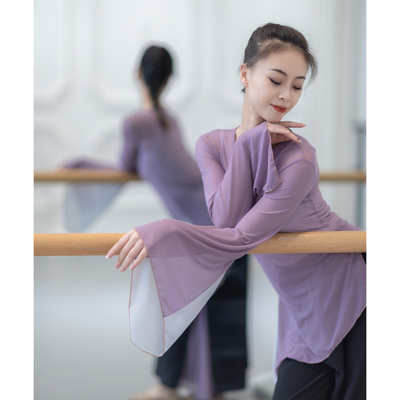 开叉舞蹈服古典纱衣中国舞