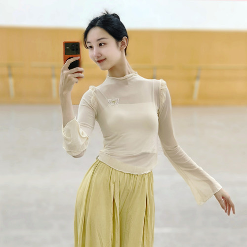 古典舞纱衣中国舞服装身韵形体服显瘦舞蹈上衣女民族舞练功服