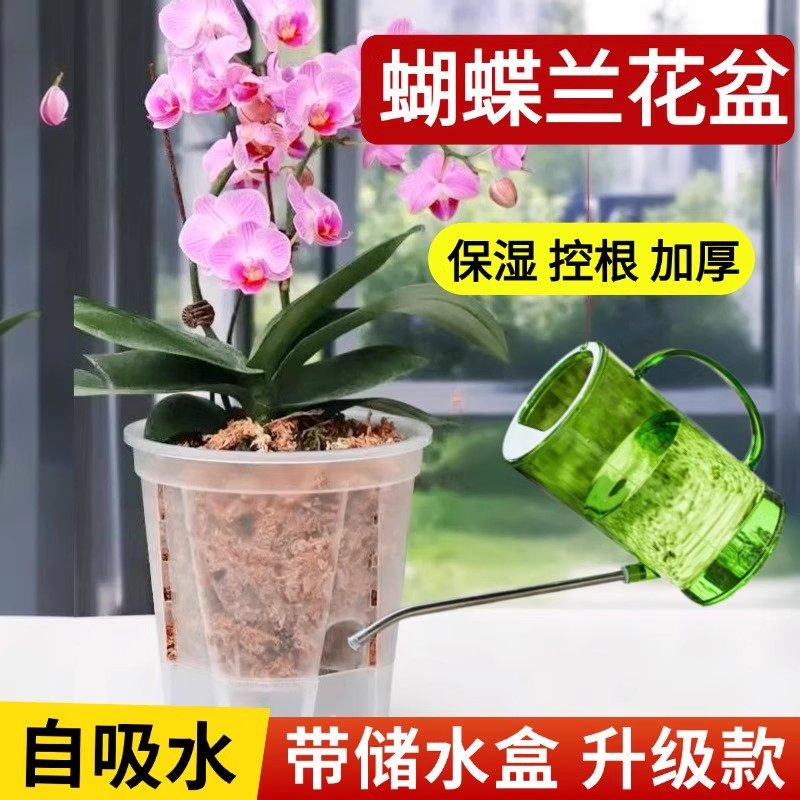 蝴蝶兰花盆专用懒人盆储水自吸水透明控根透气兰花石斛用绿植塑料,鲜花速递/花卉仿真/绿植园艺,花盆,淘宝优惠券,粉丝福利购,淘宝优惠卷