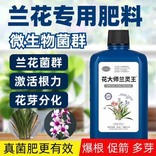 治黄叶烂根预防干尖专用肥料爆芽