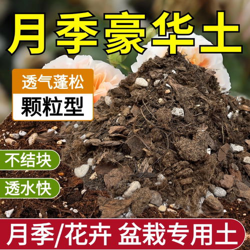 花大师月季专用土粗颗粒透气疏松