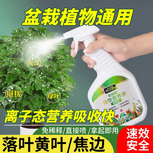 580ml免稀释营养液通用型花肥料