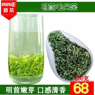 2025年新茶250g贵州绿茶明前绿茶单芽嫩芽高山云雾栗香毛尖耐泡