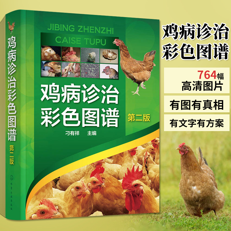 鸡病诊治彩色图谱第二版养鸡技术书蛋鸡养殖技术书籍大全鸡病鉴别诊断图谱与防治土鸡肉鸡散养鸡养殖及用药鸡白痢药手册鸡饲料