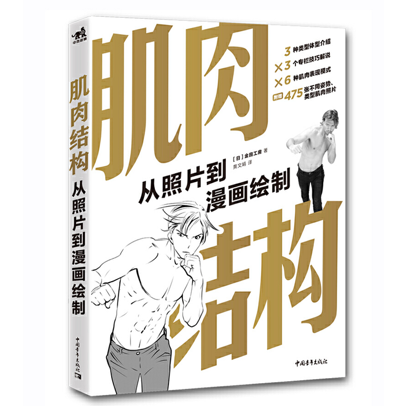 伯里曼人体结构教学 人物速写入门基础 绘画临摹透视技法头像美术艺术