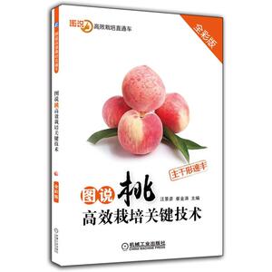 图说桃高效栽培关键技术种植书籍果树整形修剪及栽培技术技巧大全选苗育苗苗木栽培嫁接技术病虫害防治科学养护知识指导入门教程书