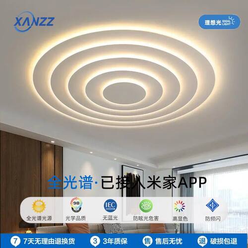 接入米家水波纹灯大气客厅灯led吸顶灯现代简约创意轻奢设计师款