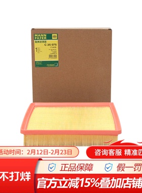 曼牌空气滤清器C25075适配于16-19款远景X6 1.8L