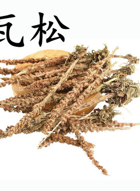 中药材瓦松 野生 瓦松草 瓦花 向天草 天王铁塔草 500克包邮