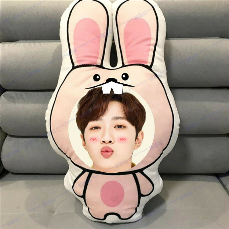 照片定制赖冠霖人形抱枕来图diy异形枕头q版卡通真人玩偶生日礼物
