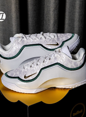 耐克 LeBron XXIII EP 詹姆斯男子防滑休闲运动篮球鞋IB9563-101