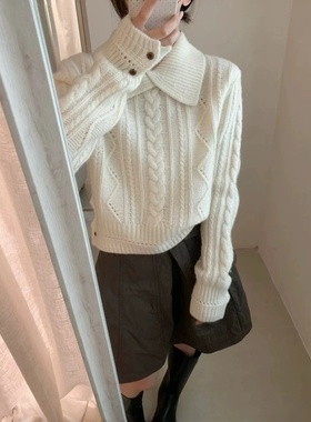 法式轻奢polo翻领绞花显瘦针织衫毛衣女秋冬打底衫外穿厚内搭上衣