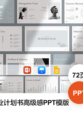 商业营销计划书公司团队介绍融资解决方案汇报高级感PPT模版