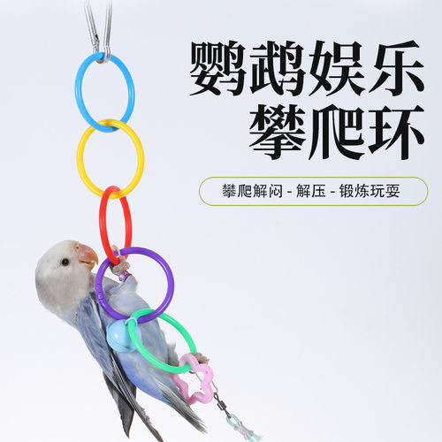 鹦鹉吊环攀爬解闷玩具啃咬玩耍攀爬牡丹玄凤鹦鹉用玩具用品大全