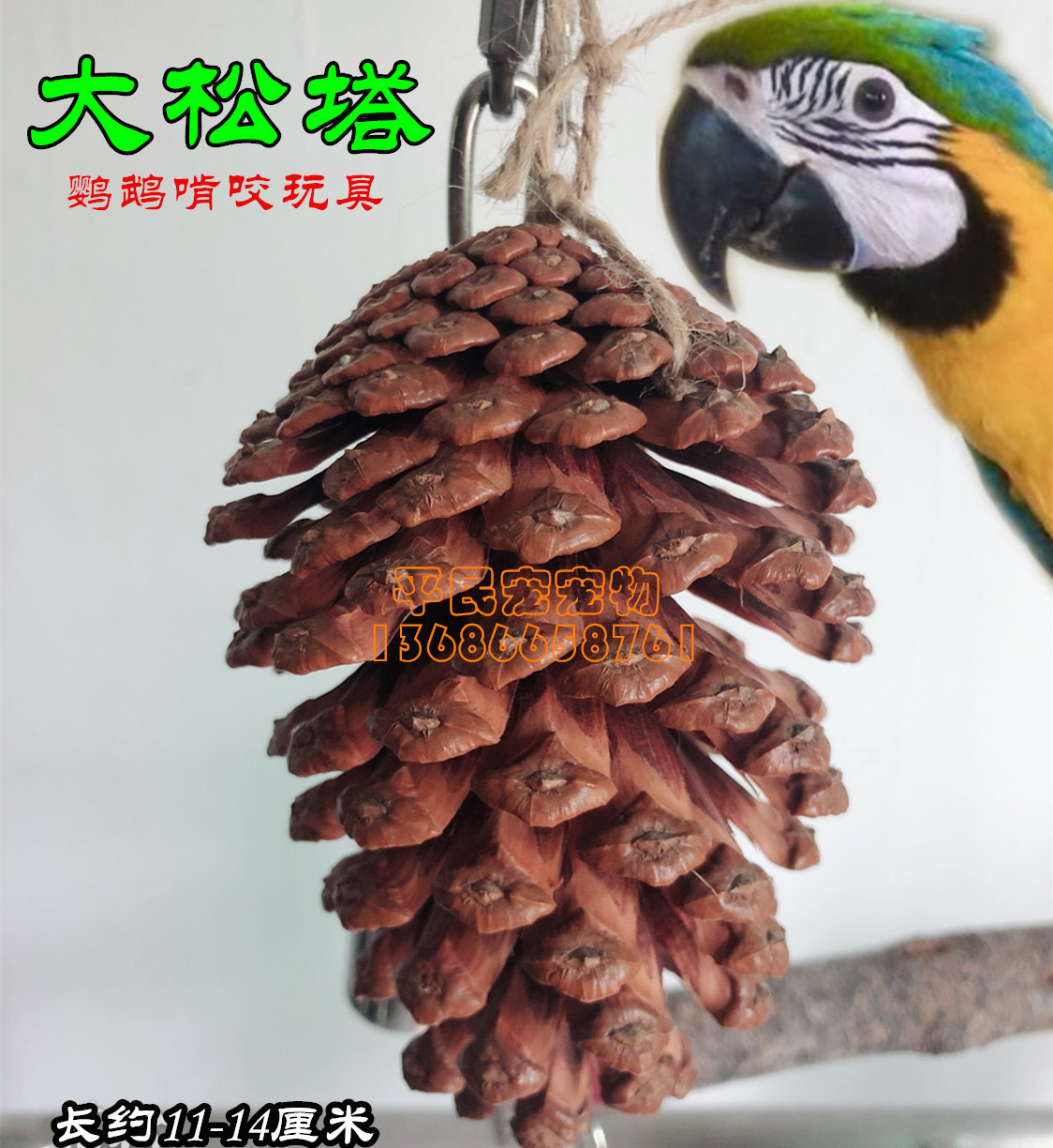 中大鹦鹉啃咬玩具  吊绳椰盖天然松塔 灰鹦鹉玄凤牡丹松啃咬用品,宠物/宠物食品及用品,鸟禽其他,淘宝优惠券,粉丝福利购,淘宝优惠卷