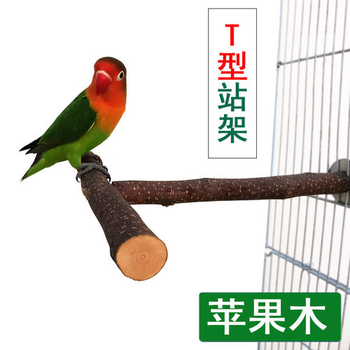 站架鸟笼鹦鹉爬梯鸟类玩具