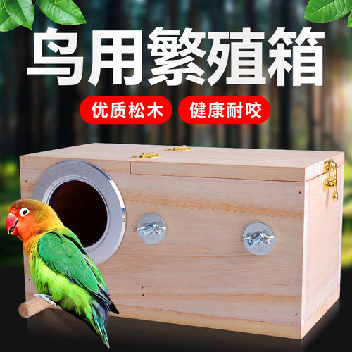 鹦鹉繁殖虎皮牡丹玄凤外挂鸟窝