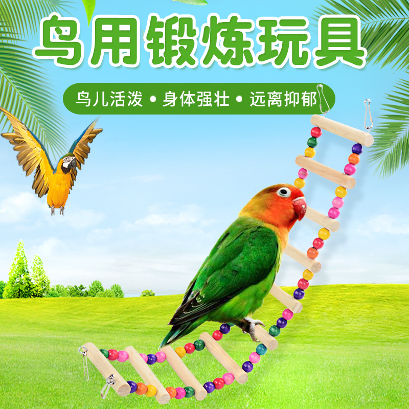 鹦鹉玩具鸟平民宠宠物