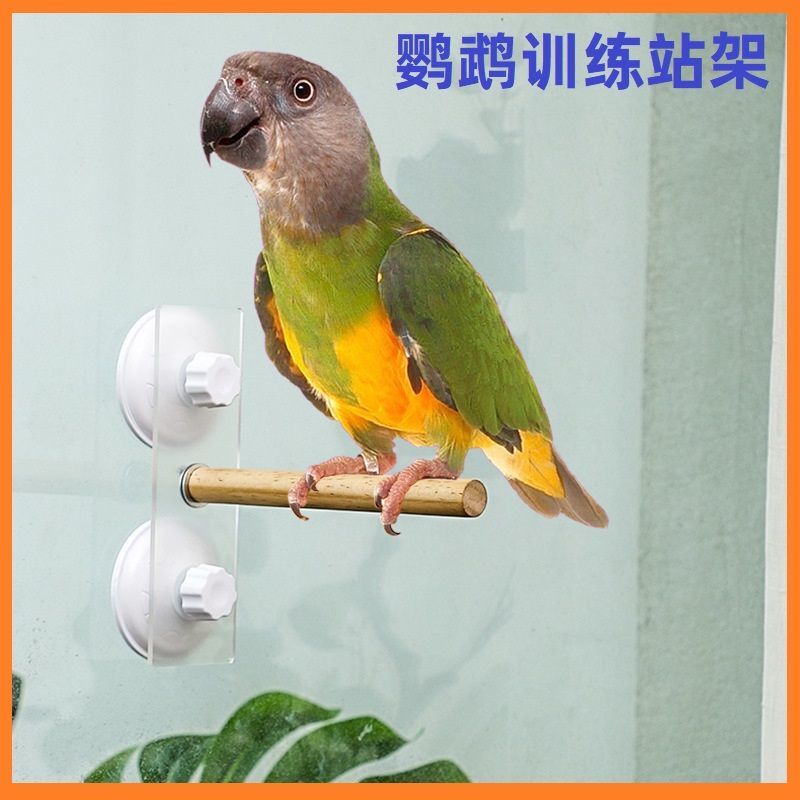 平民宠鸟用品训练吸盘澡架