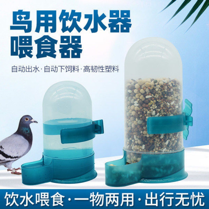 鸽子饮水器鹦鹉喂食器