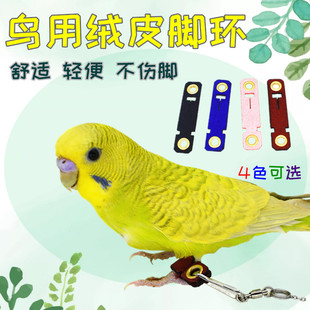 鸟用皮脚环脚链子鹦鹉脚扣环不伤脚鸽子伯劳虎皮喜鹊黑八哥绒皮套