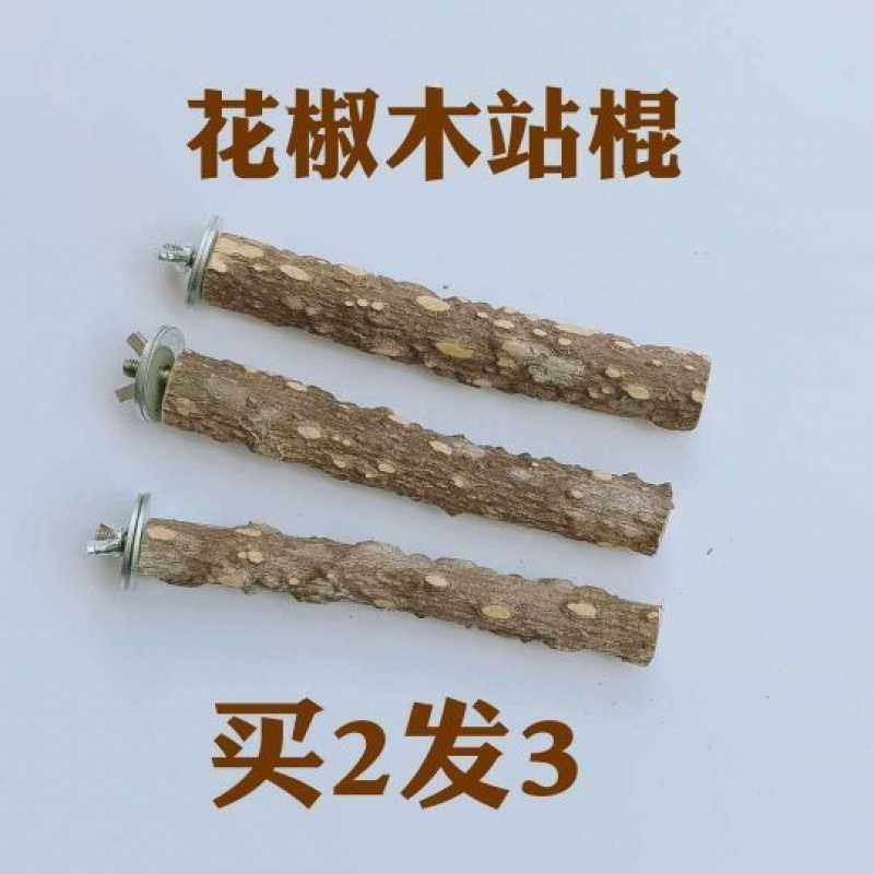 花椒木鹩哥画眉鹦鹉鸟站杠磨