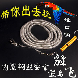 鹦鹉放飞绳防咬外出绳遛鸟绳八哥乌鸦虎皮牡丹玄凤训练飞行脚链环