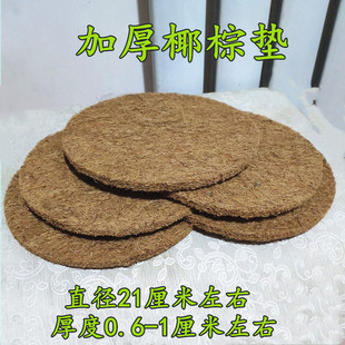 信鸽巢盆棕垫鸽子窝垫布垫鸽子用品用具塑料窝垫子鸟窝垫清洗布垫
