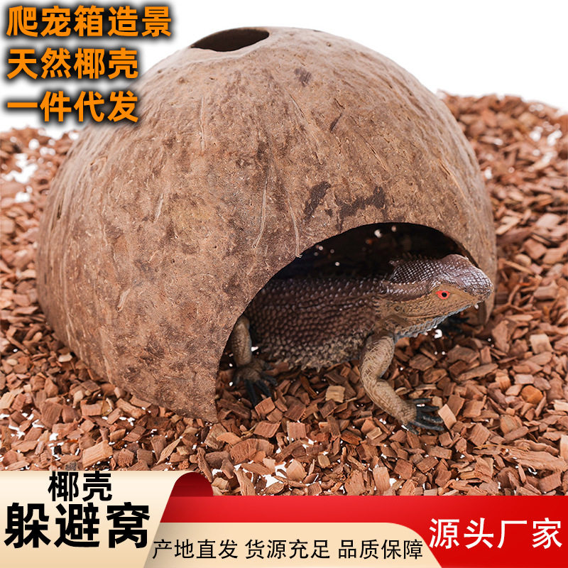 椰壳躲避窝 爬宠箱造景装饰鬃师蜥蜴蛇龟仓鼠寄居蟹攀爬躲避窝,宠物/宠物食品及用品,爬宠躲避/造景,淘宝优惠券,粉丝福利购,淘宝优惠卷