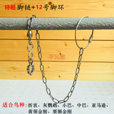 喜鹊八哥虎皮鹦鹉不锈钢架养脚链