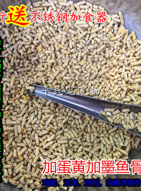 百灵乌鸫食加骨粉繁殖八哥