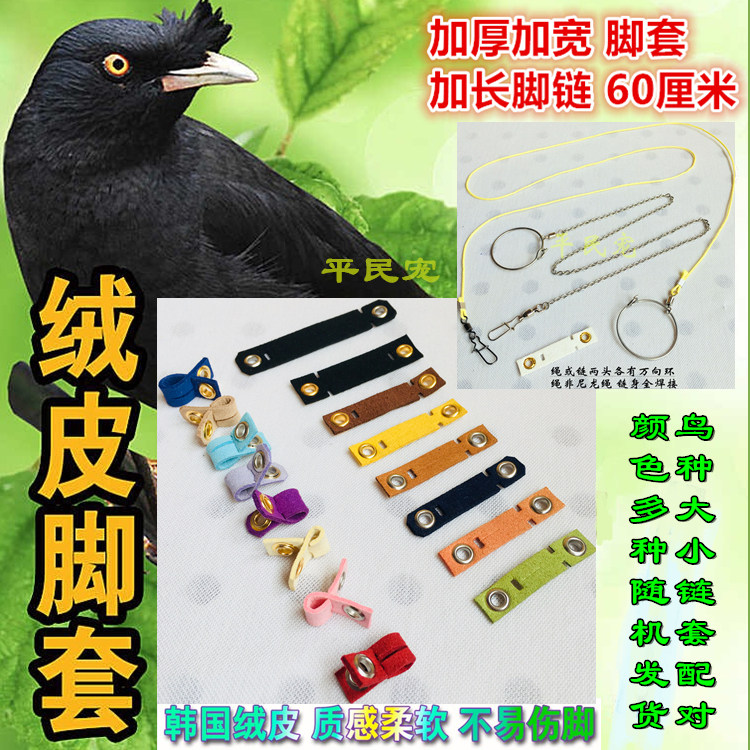 鹦鹉鸟用皮套脚环不伤脚 文鸟八哥鹩哥喜鹊老鹰鸽子训鸟脚套脚链